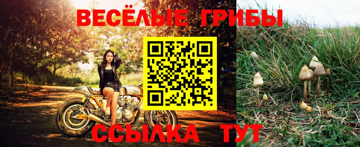 Галлюциногенные грибы Magic Shrooms  Вход с VPN  Фурманов 